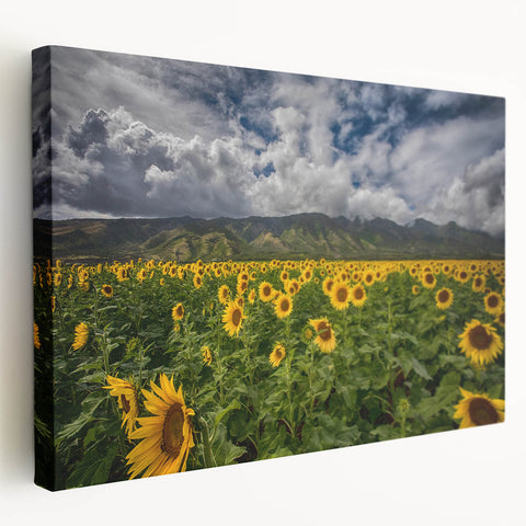 Large canvas print of a scenic Maui landscape with vibrant green and blue tones, suitable for kitchen wall art.