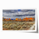 Rolled print of Idaho scenery featuring lush greenery and a distant mountain range, in muted earth tones.