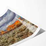 Extra large wall art featuring line art flowers in neutral tones on a rolled canvas, ideal for large living room decor.