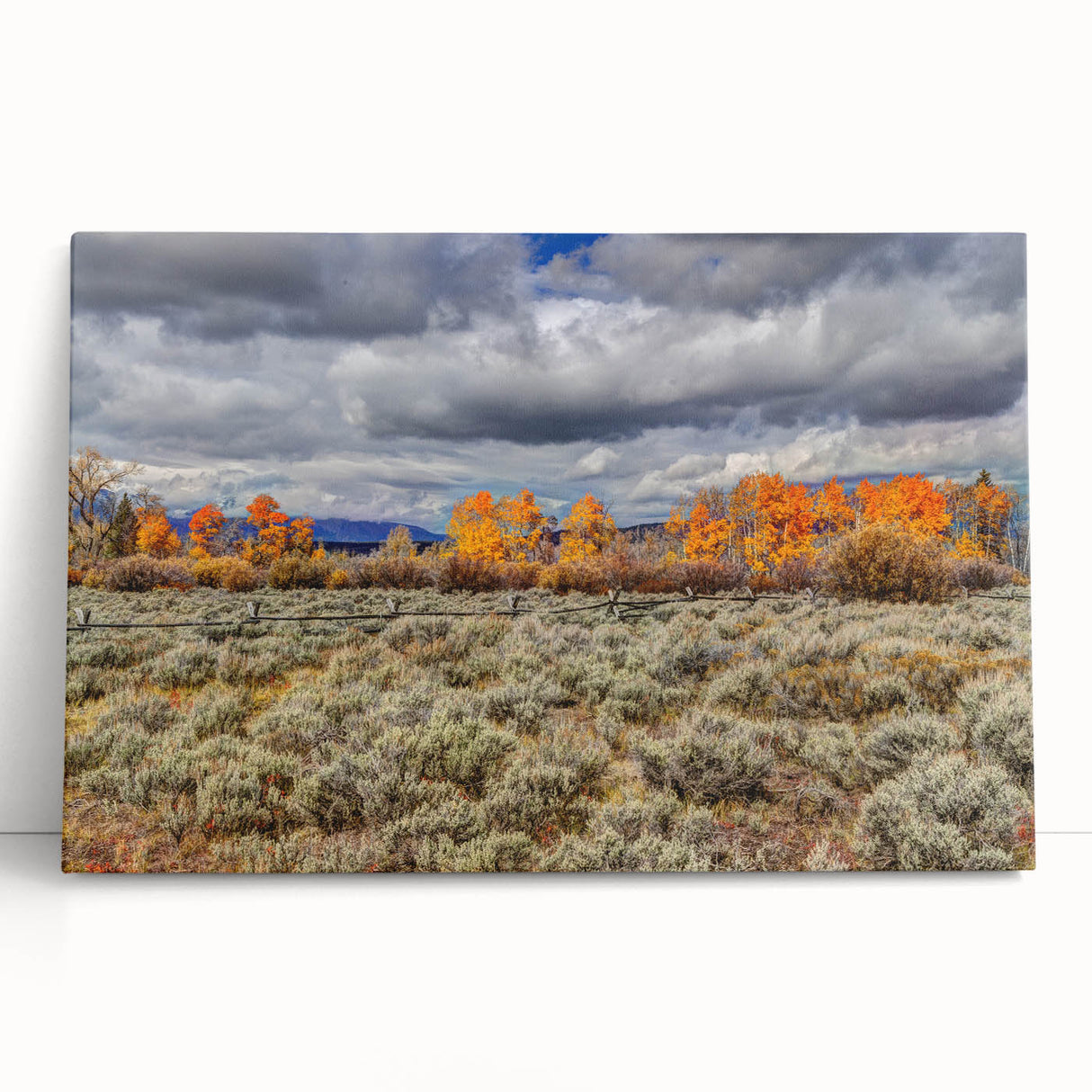 Black and white photograph of Idaho scenery on stretched canvas, suitable as large kitchen wall art or for bedroom ambiance.