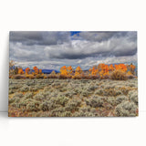 Black and white photograph of Idaho scenery on stretched canvas, suitable as large kitchen wall art or for bedroom ambiance.