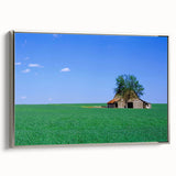 Framed canvas of a Kentucky landscape painting, featuring vibrant colors on a black background, ideal for living room decor.
