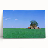 Black and white stretched canvas of Kentucky scenery, ideal for kitchen wall art or bedroom ambiance.