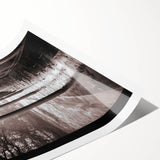Extra large wall art featuring line art flowers in black and white, rolled print, suitable for large living room decor.
