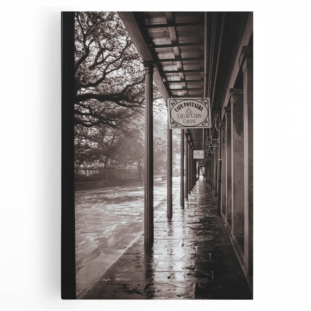 Black and white stretched canvas of New Orleans scenery, ideal for kitchen art.