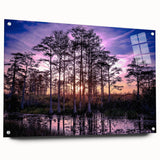 Acrylic glass print of a Louisiana landscape in muted earth tones, suitable for bedroom or dining room decor.