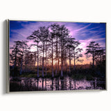 Framed canvas landscape art painting featuring a vintage Louisiana scenery in black with colorful accents.