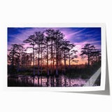 Rolled print of Louisiana scenery with lush greenery and floral elements, ideal for art wall dining room.