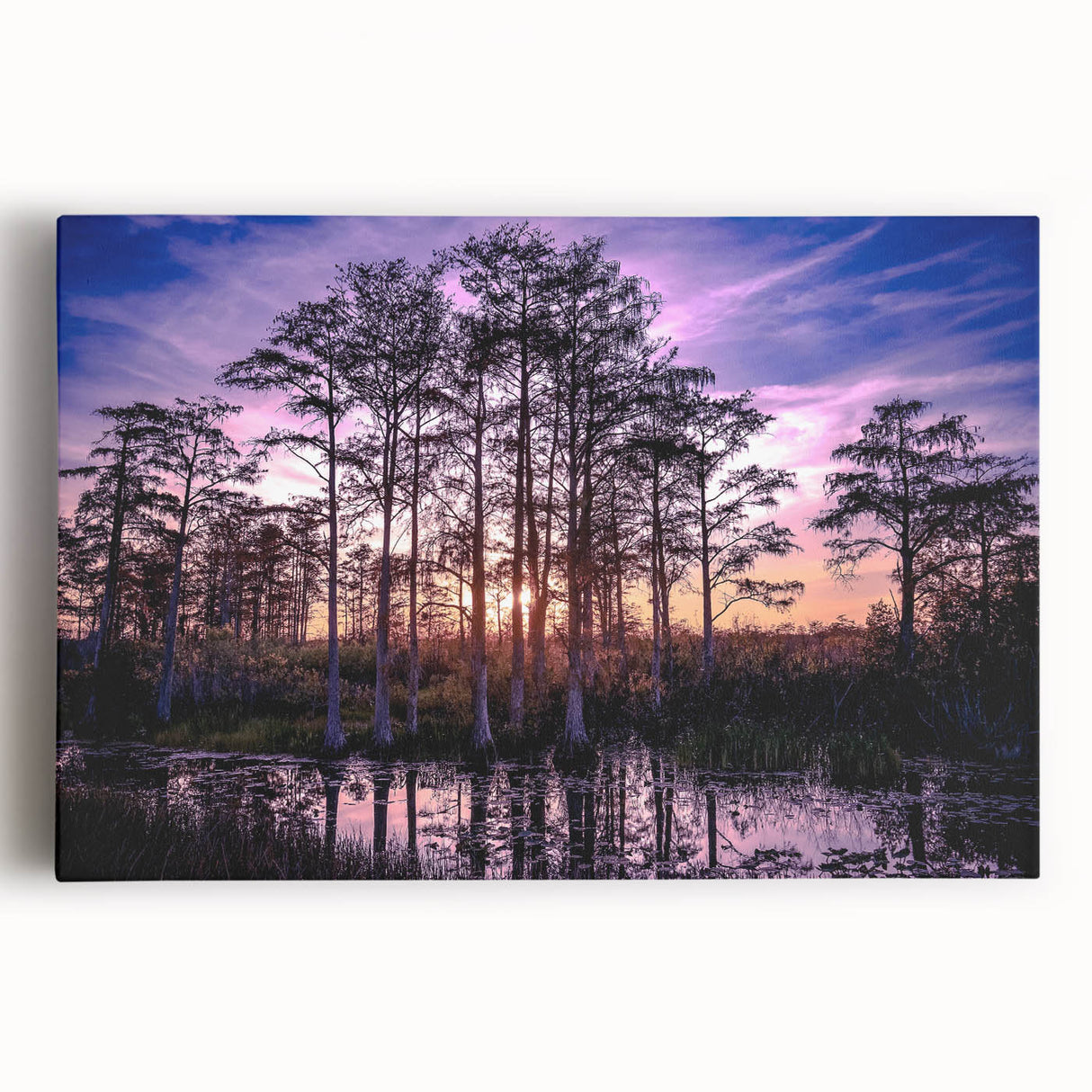 Black and white photo of Louisiana scenery on large stretched canvas, suitable for kitchen wall art.