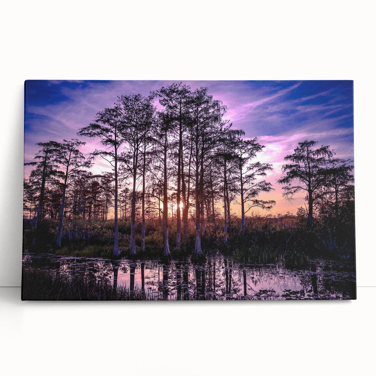 Black and white photo of Louisiana scenery on stretched canvas, ideal for kitchen wall art or bedroom ambiance.