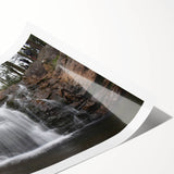 Extra large wall art featuring line art flowers in black on white, ideal for large living room decor.