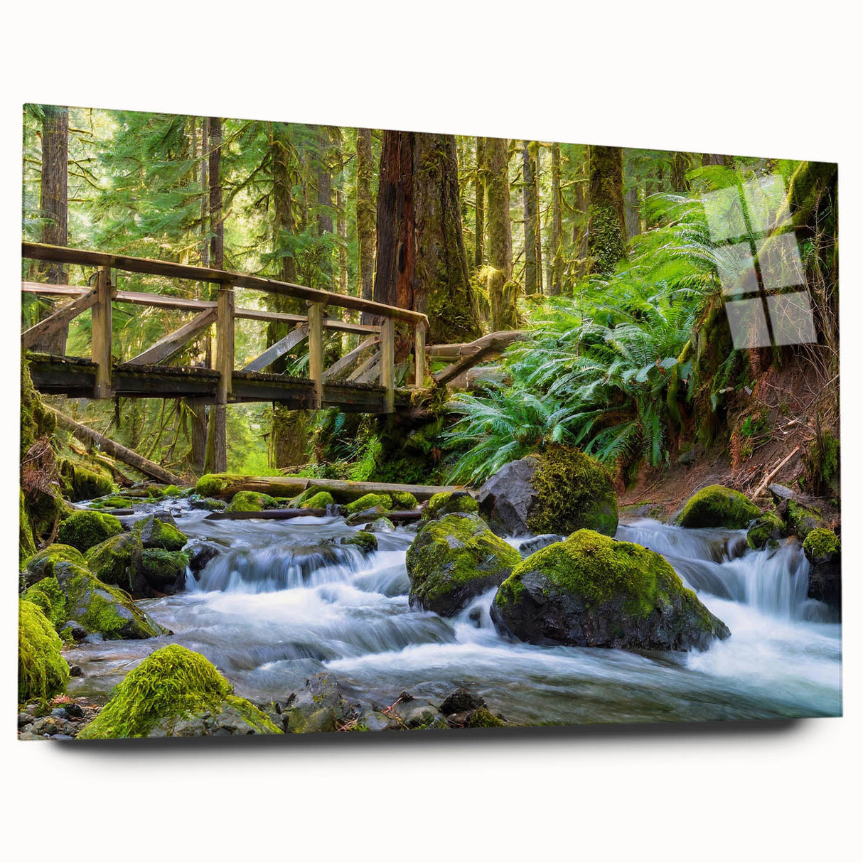 Large abstract acrylic print of Olympic scenery in muted earth tones, ideal for bedroom or dining room art.