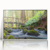 Acrylic print of Olympic National Park, featuring lush greenery and mountain backdrop, in a white frame.