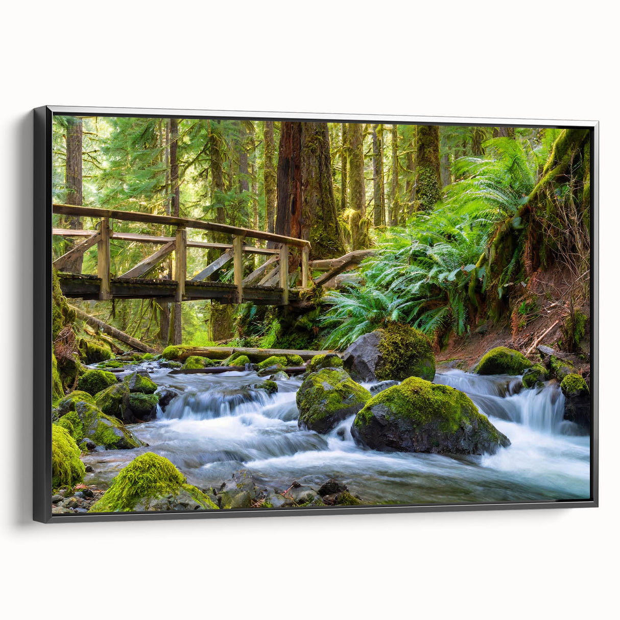 Black and white framed canvas of Olympic landscape, ideal for bedroom wall art.