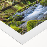 Art deco poster of Olympic National Park with muted green and brown tones on rolled canvas, suitable for dining room decor.