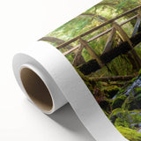 Art deco style poster of Olympic National Park in muted earth tones on rolled canvas, ideal for nursery wall art.