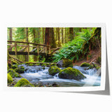 Extra large rolled print of Olympic National Park with vivid green hues, ideal for art wall dining room.