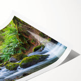 Extra large wall art featuring line art flowers in black and white on a rolled print, suitable for large living room decor.