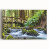 Black and white photograph of Olympic National Park on stretched canvas, ideal for kitchen wall art.