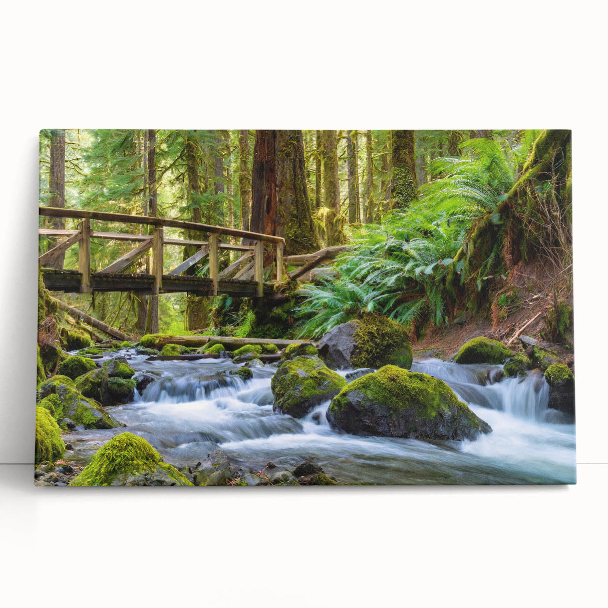 Black and white photo of Olympic National Park on stretched canvas, ideal for kitchen wall art or bedroom.