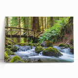 Black and white photo of Olympic National Park on stretched canvas, ideal for kitchen wall art or bedroom.