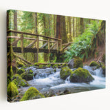 Olympic National Park landscape on large stretched canvas, featuring muted forest and mountain hues.