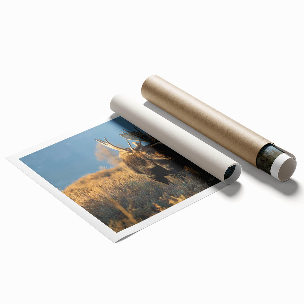 Extra large rolled print of Yellowstone scenery with vibrant green and blue tones, ideal for classy bathroom wall art.