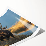 Extra large wall art featuring line art flowers in a Yellowstone scenery on rolled print.