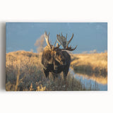 Black and white photograph of Yellowstone scenery on large stretched canvas, ideal for kitchen wall art.