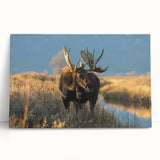 Black and white image of Yellowstone scenery on large stretched canvas, ideal for kitchen wall art or bedroom.