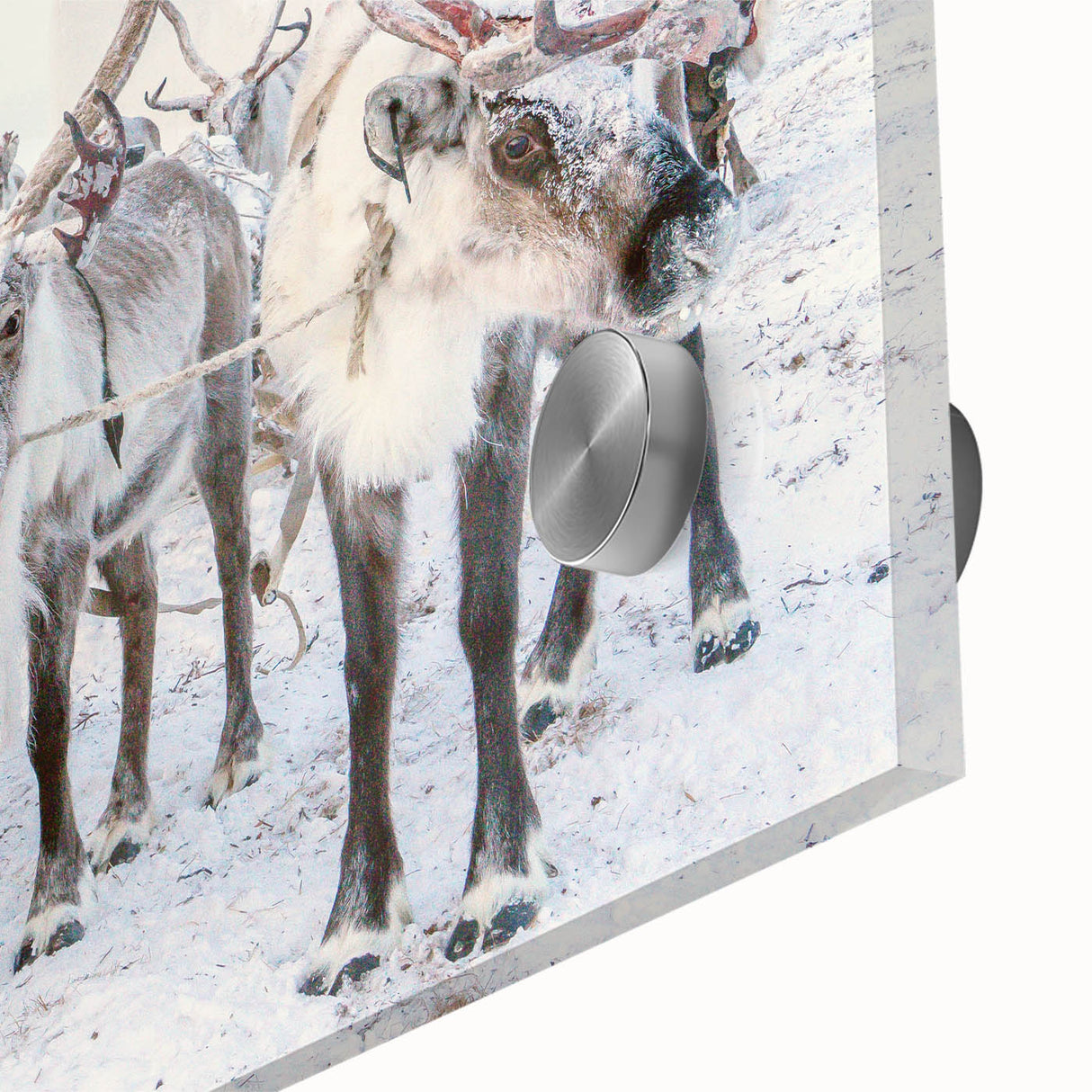Large abstract wall art depicting winter, in muted blue and white tones on acrylic glass, suitable for dining room ambiance.
