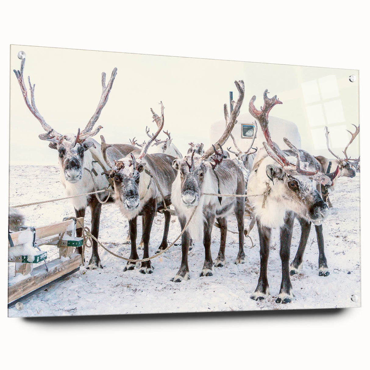 Large abstract wall art depicting a winter scene in muted blue and white tones on acrylic glass.