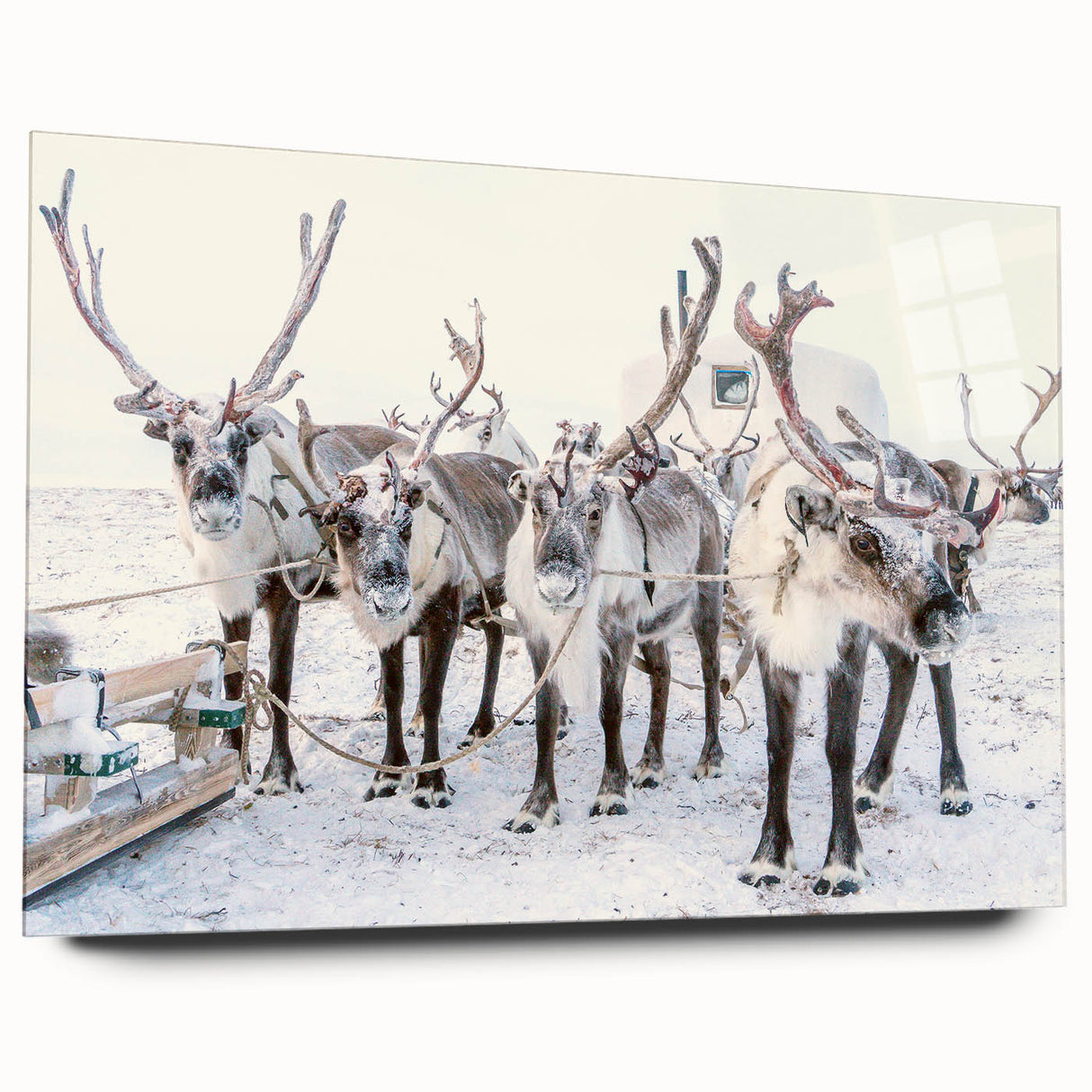 Large abstract wall art on acrylic glass depicting winter season in muted blue and white tones.