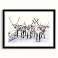 Abstract art print featuring a textured mix of vibrant blues and whites on a large canvas, ideal for living room decor.