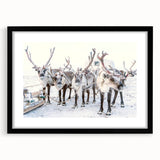 Abstract art print featuring a textured mix of vibrant blues and whites on a large canvas, ideal for living room decor.