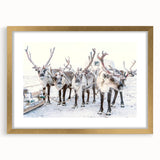 Extra large abstract art print with textured design in cool blue and white tones, framed in gold.