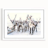 Abstract art print depicting a winter scene in muted blue and white tones on a framed white canvas.