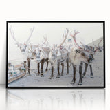 Large abstract wall art depicting a winter scene in cool blue and white tones, framed in black acrylic.