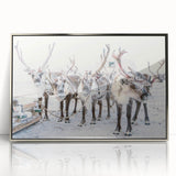 Mid-century modernist art depicting a winter scene in muted blue and white tones, framed acrylic.