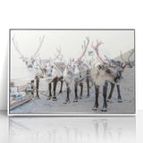 Art deco poster of a winter scene in muted gray and blue tones, framed acrylic, ideal for nursery wall decor.