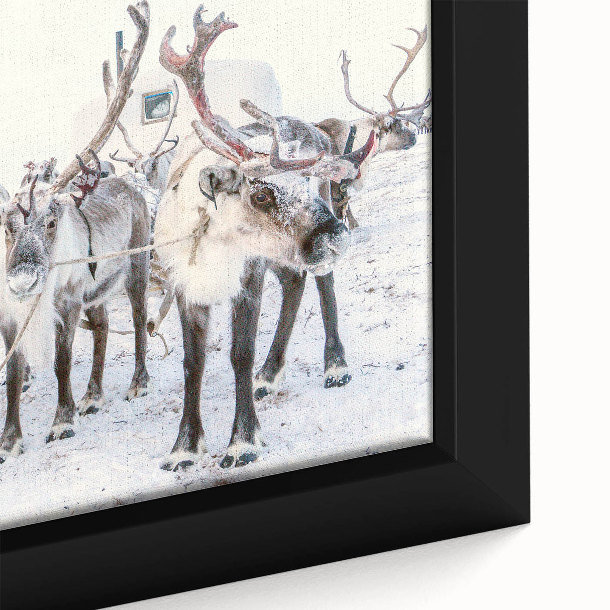 Extra large framed canvas featuring textured black wall art with colorful, abstract winter motifs.