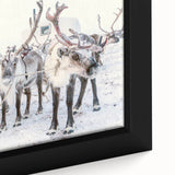 Extra large framed canvas featuring textured black wall art with colorful, abstract winter motifs.
