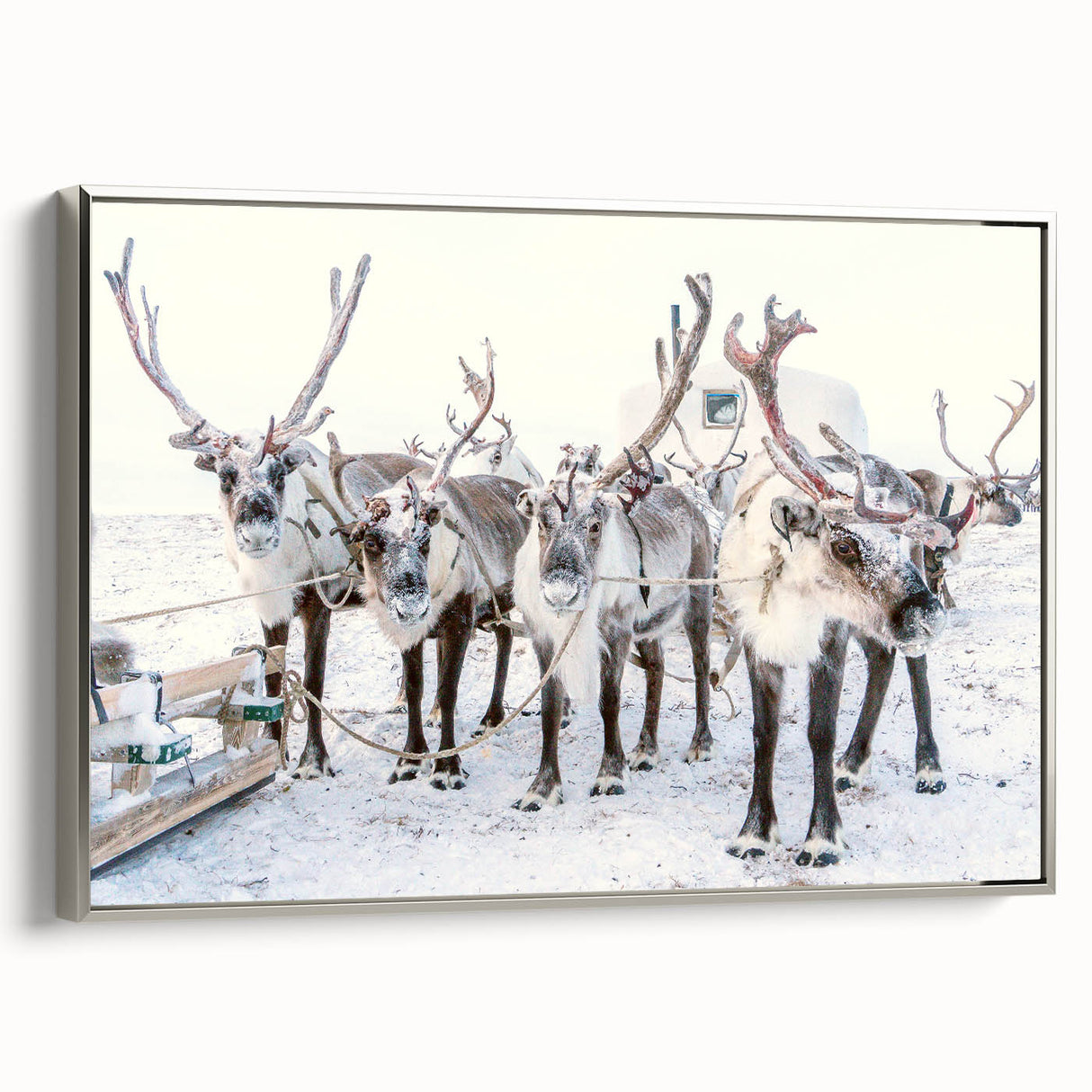 Winter landscape art painting on framed canvas, featuring a monochrome tree scene with silver accents.