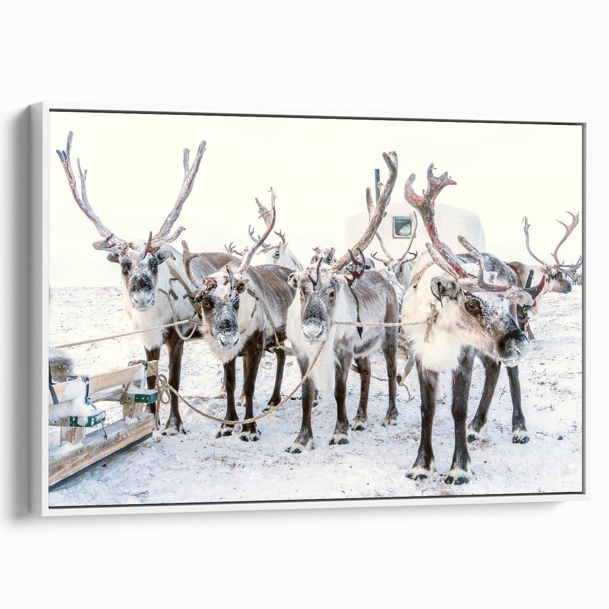 Winter scene vintage poster art on framed canvas, featuring a snowy landscape in muted white and gray tones.