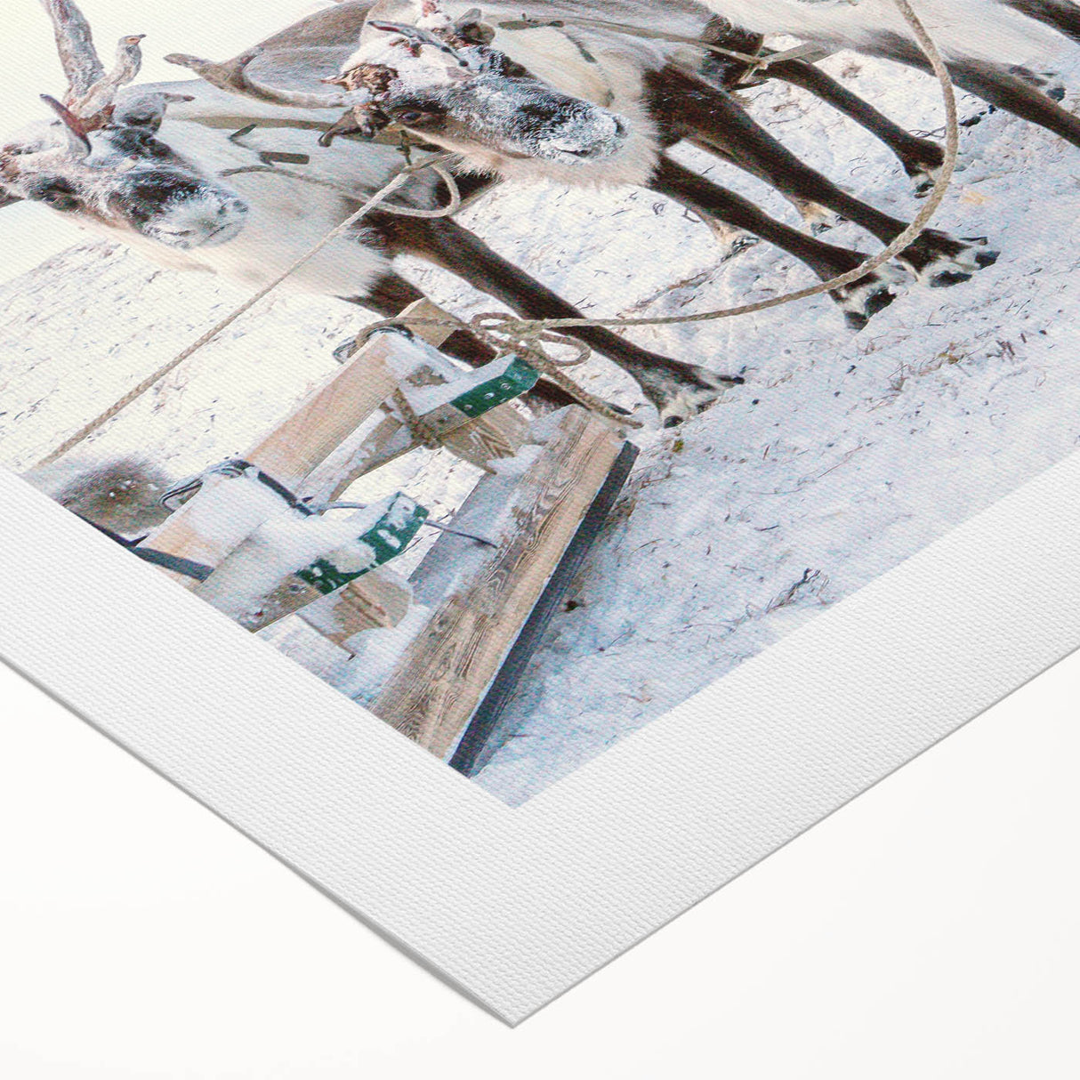 Art deco poster depicting a winter scene in muted blue and white tones, printed on rolled canvas.