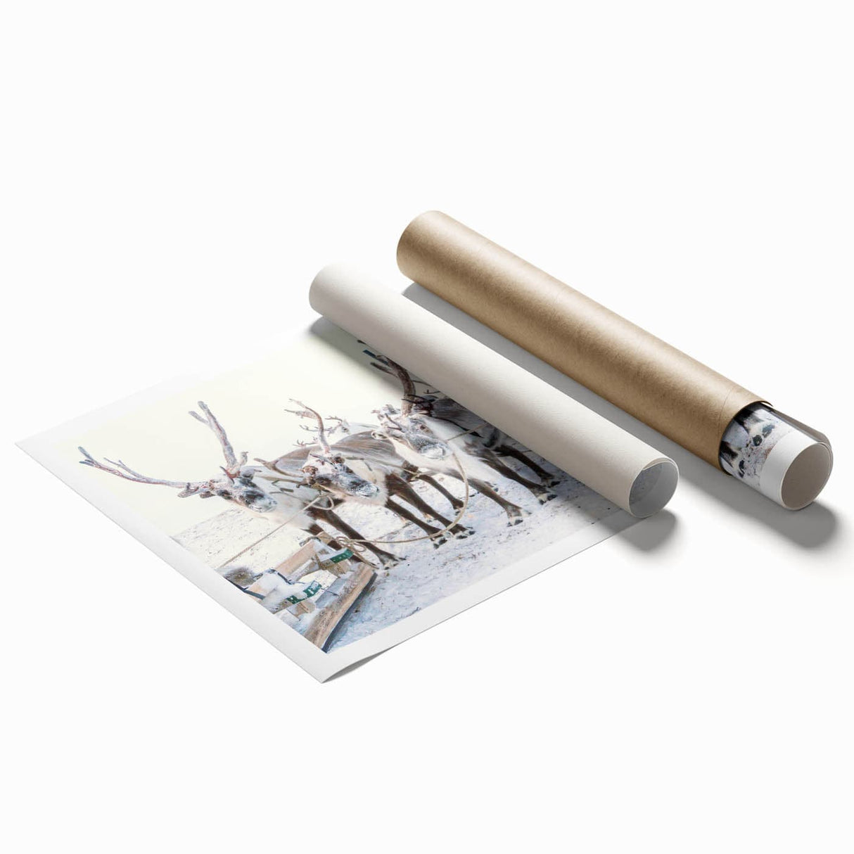 Extra large rolled print featuring a winter floral scene in muted blue and white tones, ideal for classy bathroom wall art.