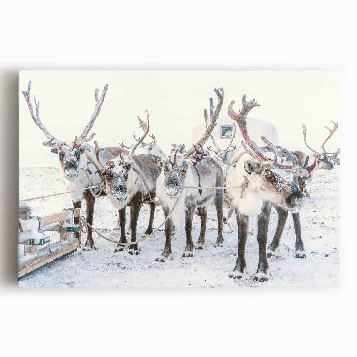 Winter-themed black and white stretched canvas featuring a snowy landscape, ideal for kitchen wall art.