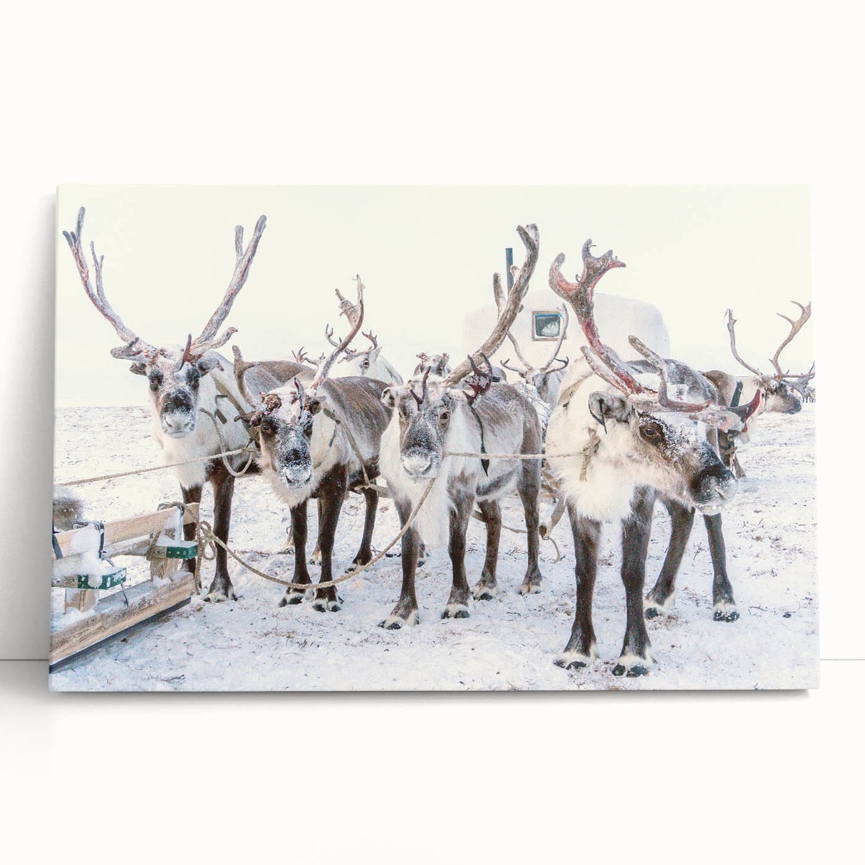 Winter tree landscape in black and white on large stretched canvas, ideal for kitchen wall art or bedroom ambiance.
