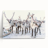 Winter tree landscape in black and white on large stretched canvas, ideal for kitchen wall art or bedroom ambiance.