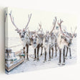 Winter landscape with muted blue and white tones on a large stretched canvas, suitable for kitchen wall art.